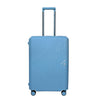 Carlton Locke Premium Luggage